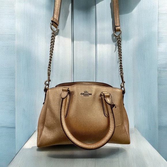 Coach Mini Sage Carryall Rose Gold metallic silver hardware - Picture 1 of 12